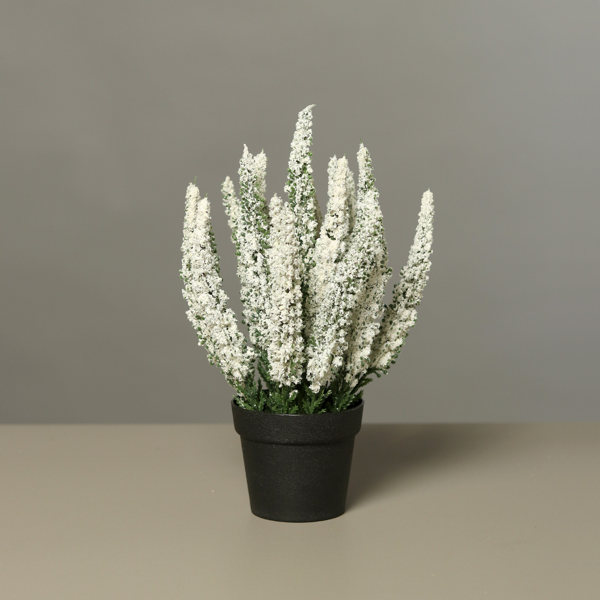 6er Set künstliche Erika im Topf weiß H. 27cm DPI Kunstblumen Topfpflanzen  | Künstliche Pflanzen im Pflanzgefäß | Kunstpflanzen | Schöner Wohnen |  CreaFlor Home